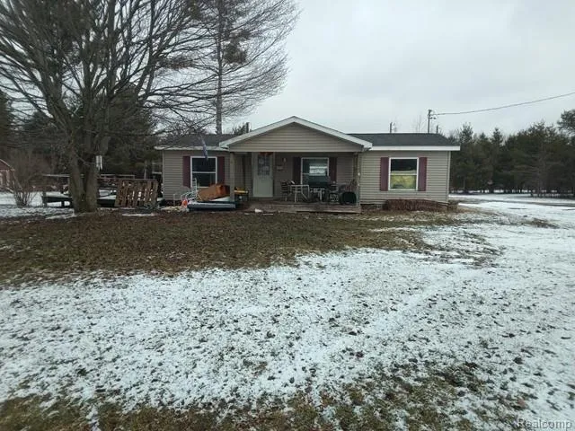 830 Ritchie Road Butman Township, MI 48624