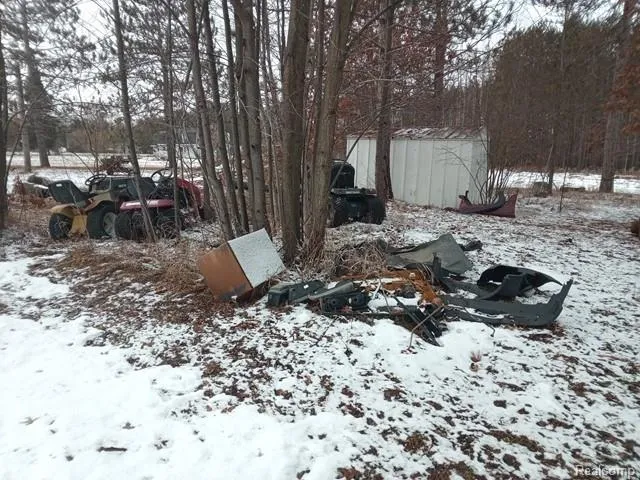 830 Ritchie Road Butman Township, MI 48624