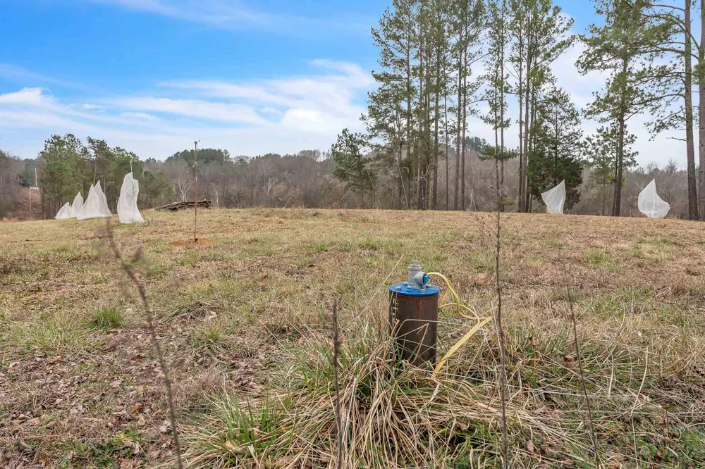73 Acres Athens Road Calhoun, TN 37309