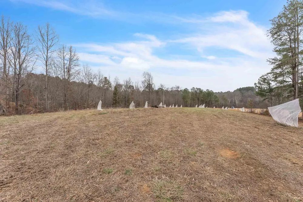 73 Acres Athens Road Calhoun, TN 37309