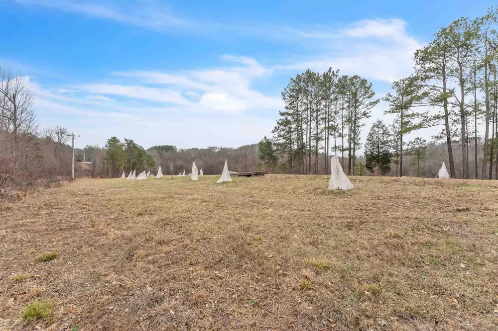 73 Acres Athens Road Calhoun, TN 37309
