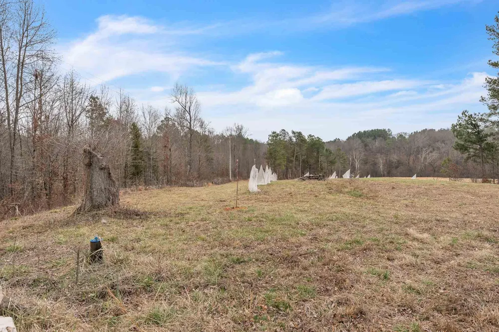 73 Acres Athens Road Calhoun, TN 37309