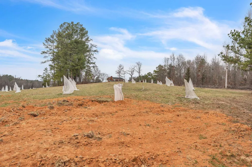 73 Acres Athens Road Calhoun, TN 37309