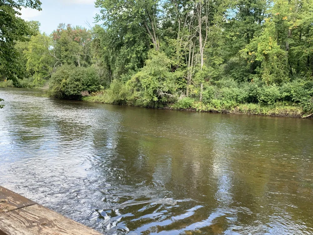 15070 Rapids Drive Hersey Township, MI 49639