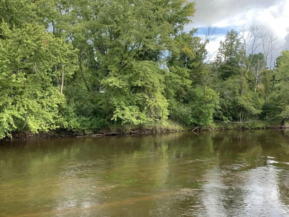 15070 Rapids Drive Hersey Township, MI 49639