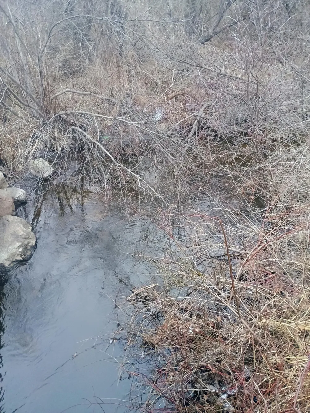 167 Mill Road Millbrook Township, MI 49310