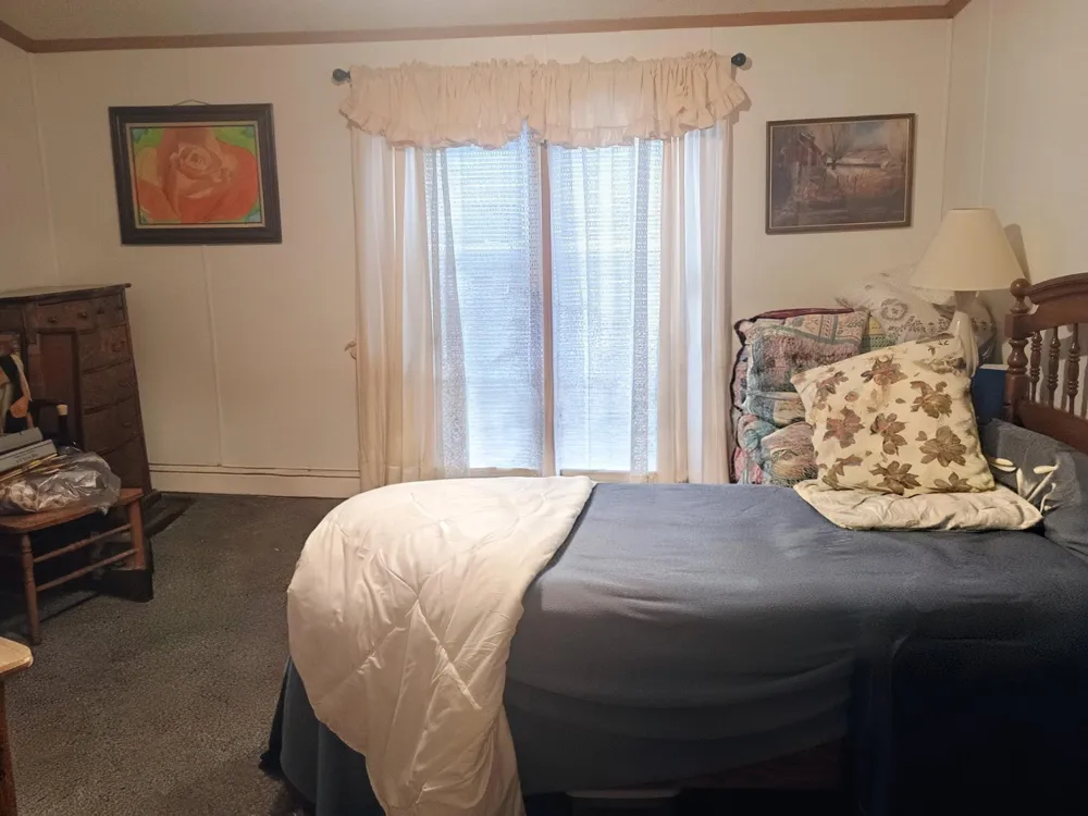 167 Mill Road Millbrook Township, MI 49310
