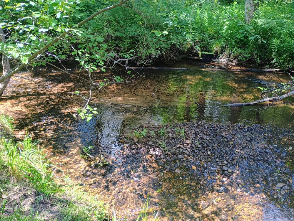 167 Mill Road Millbrook Township, MI 49310