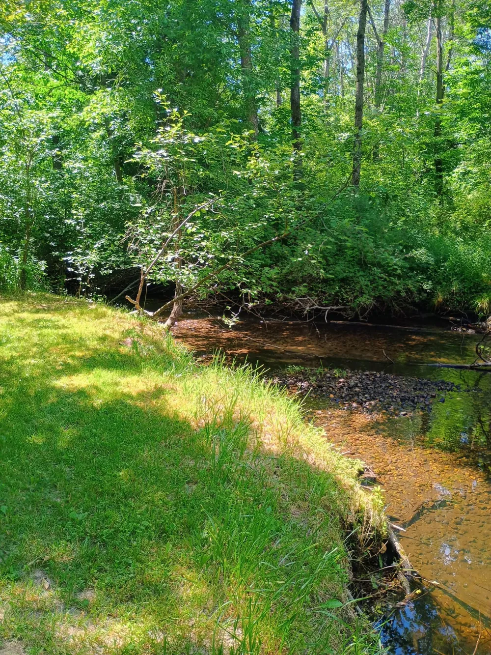 167 Mill Road Millbrook Township, MI 49310