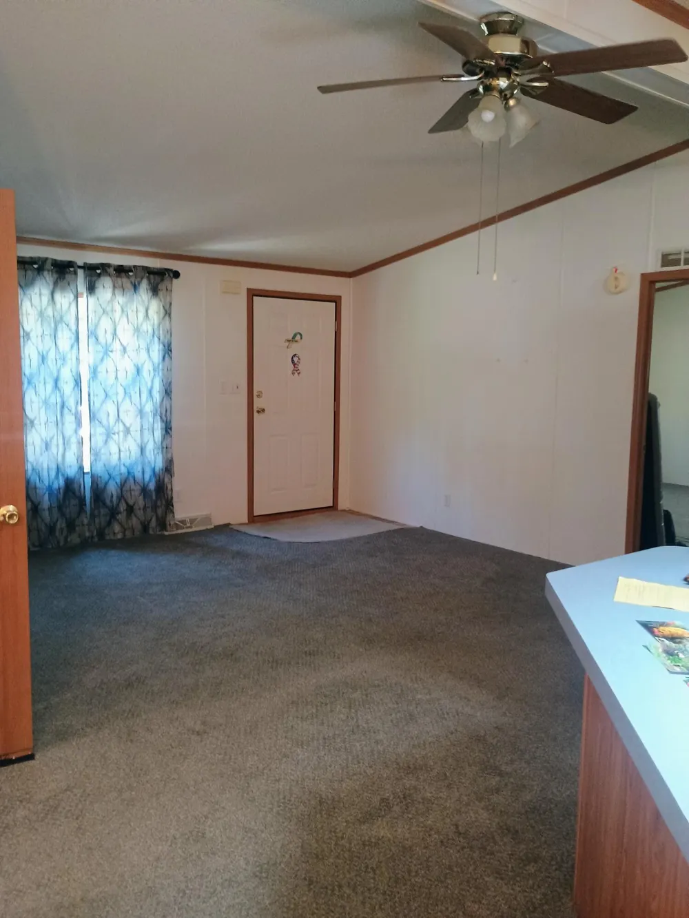167 Mill Road Millbrook Township, MI 49310