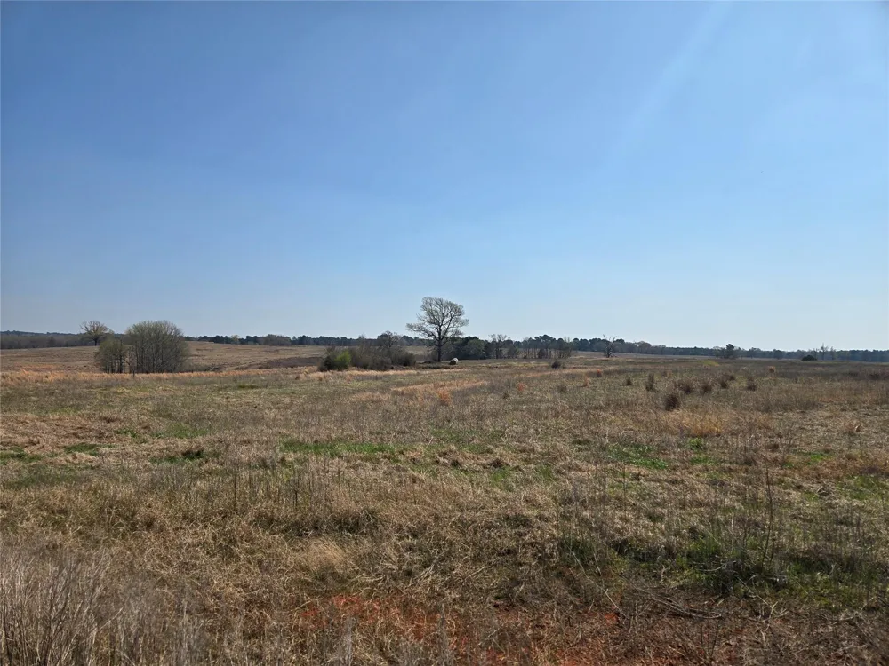 Northview Trail Crockett, TX 75835