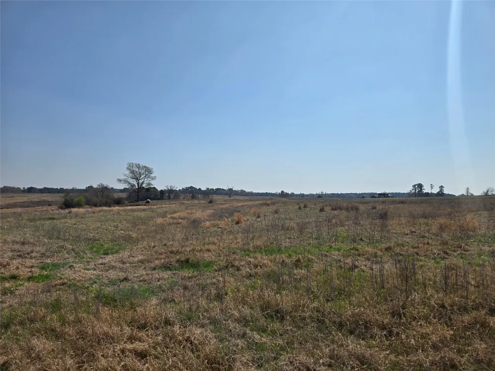 Northview Trail Crockett, TX 75835