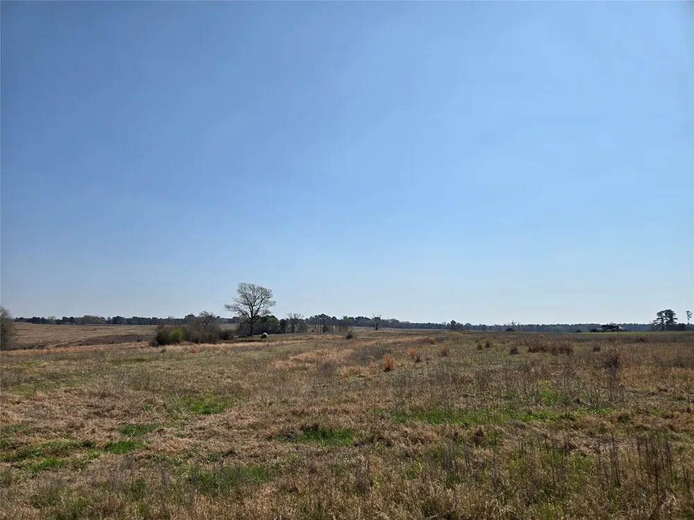 Northview Trail Crockett, TX 75835