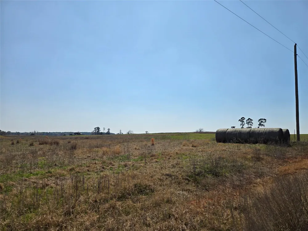 Northview Trail Crockett, TX 75835