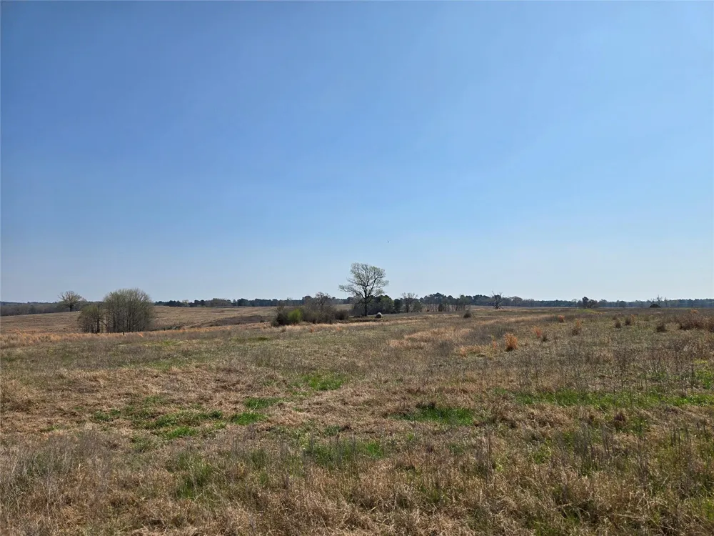 Northview Trail Crockett, TX 75835