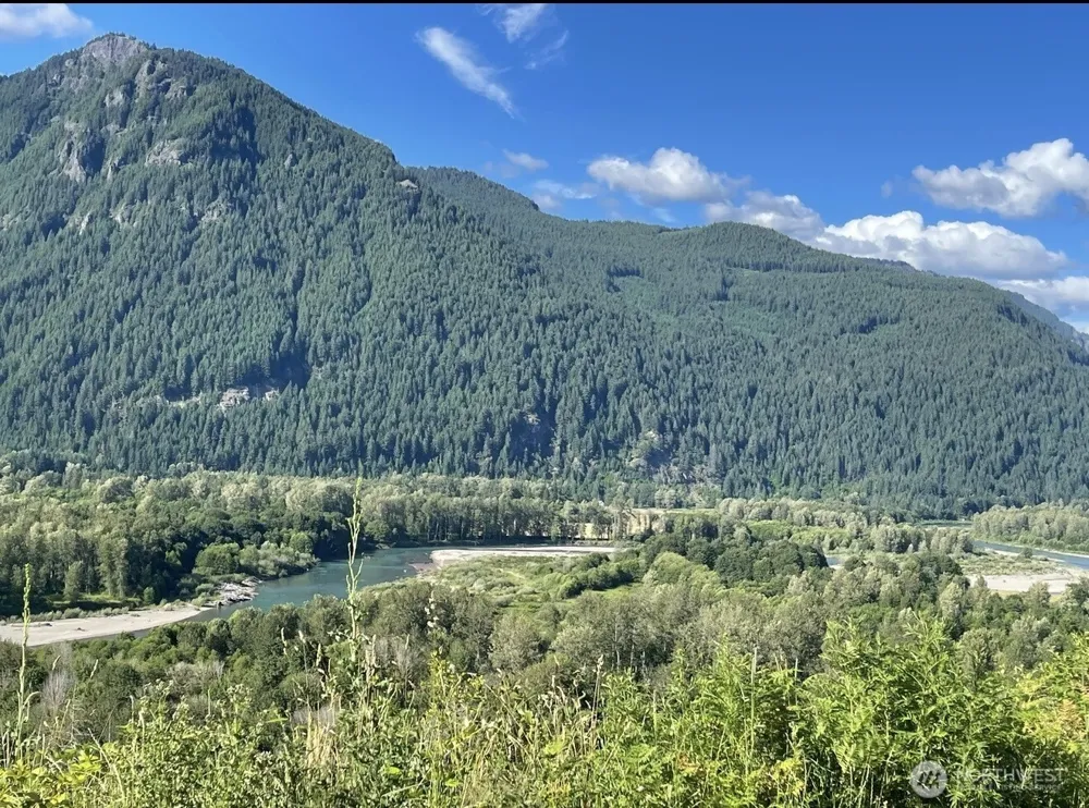 1102 Cline Road Randle, WA 98937