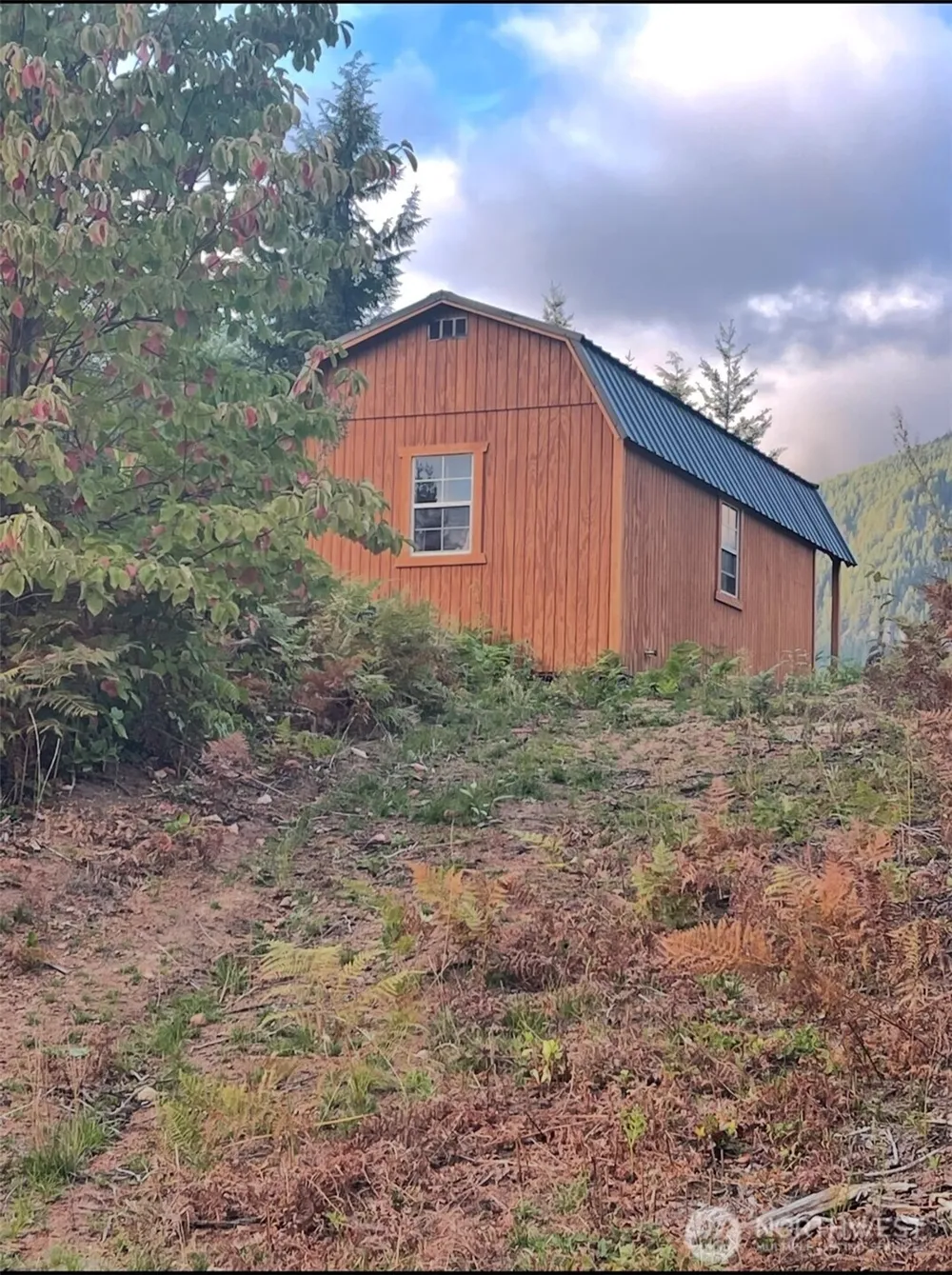 1102 Cline Road Randle, WA 98937