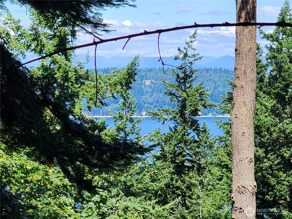 4076 Preserve Dr. Camano Island, WA 98282