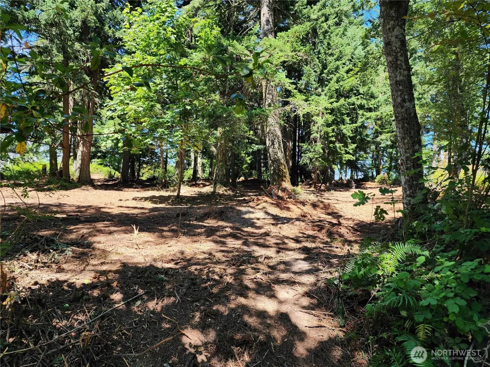 4076 Preserve Dr. Camano Island, WA 98282