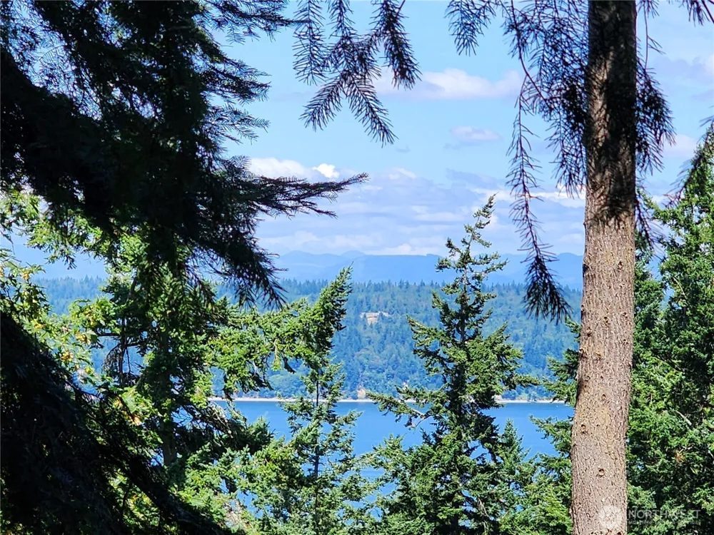 4076 Preserve Dr. Camano Island, WA 98282