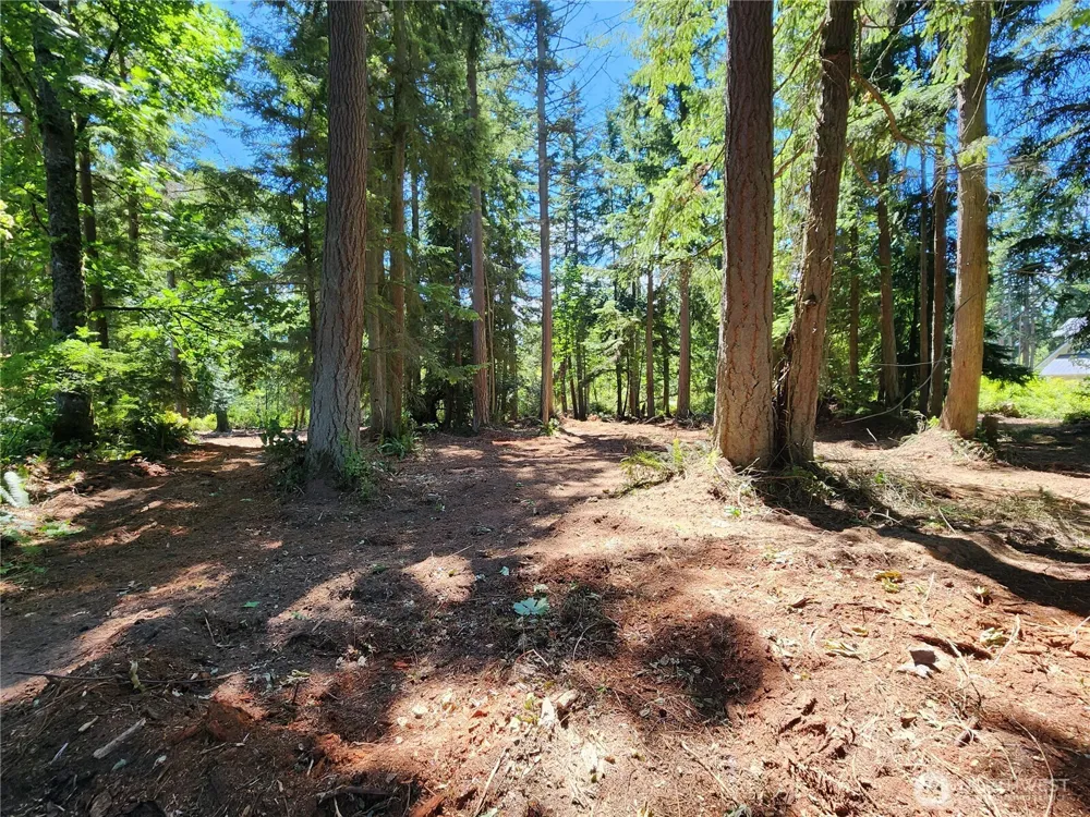 4076 Preserve Dr. Camano Island, WA 98282