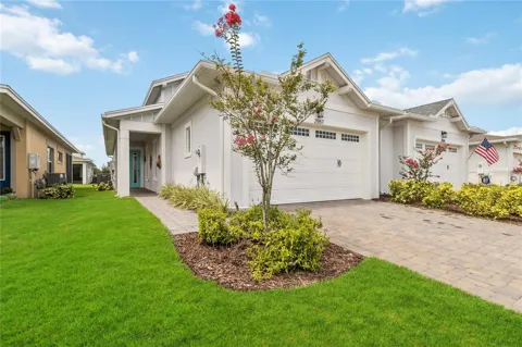 2557 YELLOW BRICK ROAD