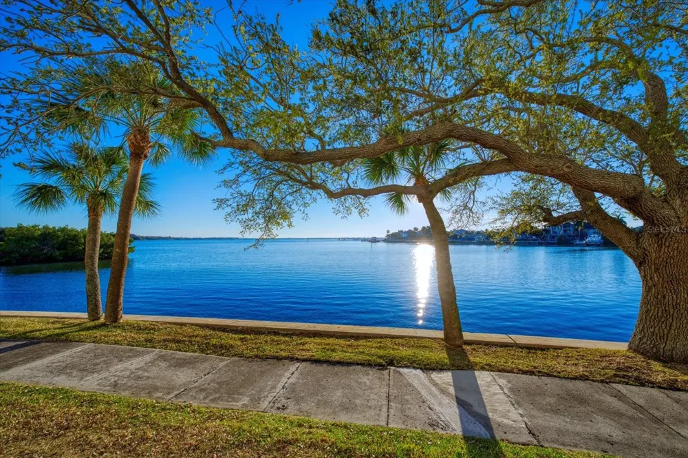 8 BELLEVIEW BOULEVARD #203 Belleair, FL 33756