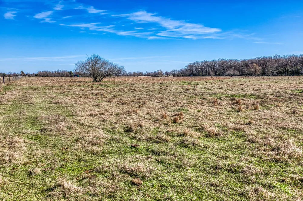 9044 Fm 1428 Midway, TX 75852