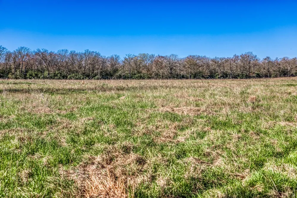 9044 Fm 1428 Midway, TX 75852