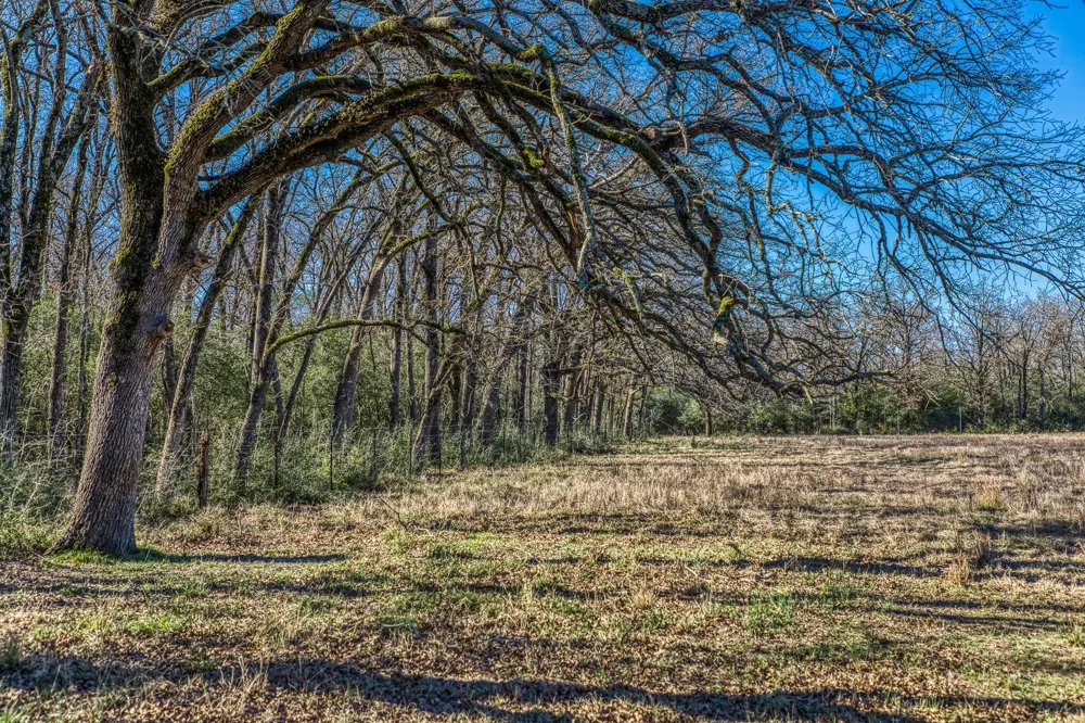 9044 Fm 1428 Midway, TX 75852