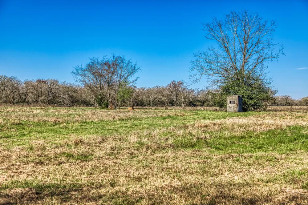 9044 Fm 1428 Midway, TX 75852