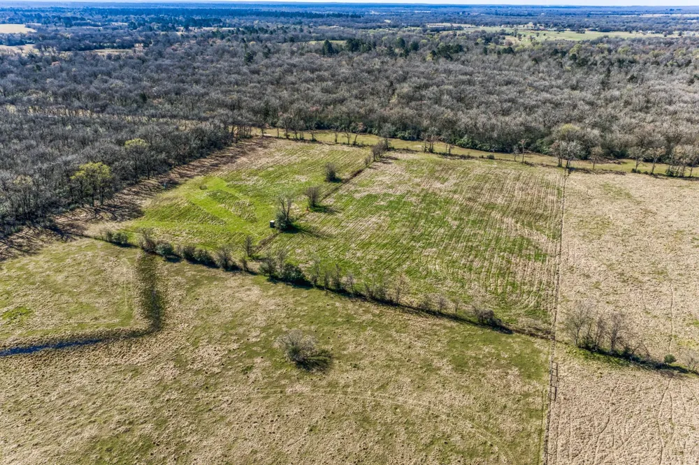 9044 Fm 1428 Midway, TX 75852