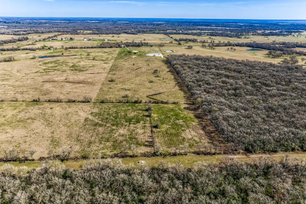 9044 Fm 1428 Midway, TX 75852