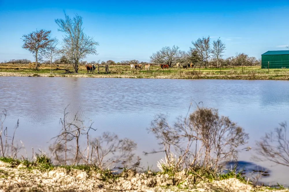 9044 Fm 1428 Midway, TX 75852