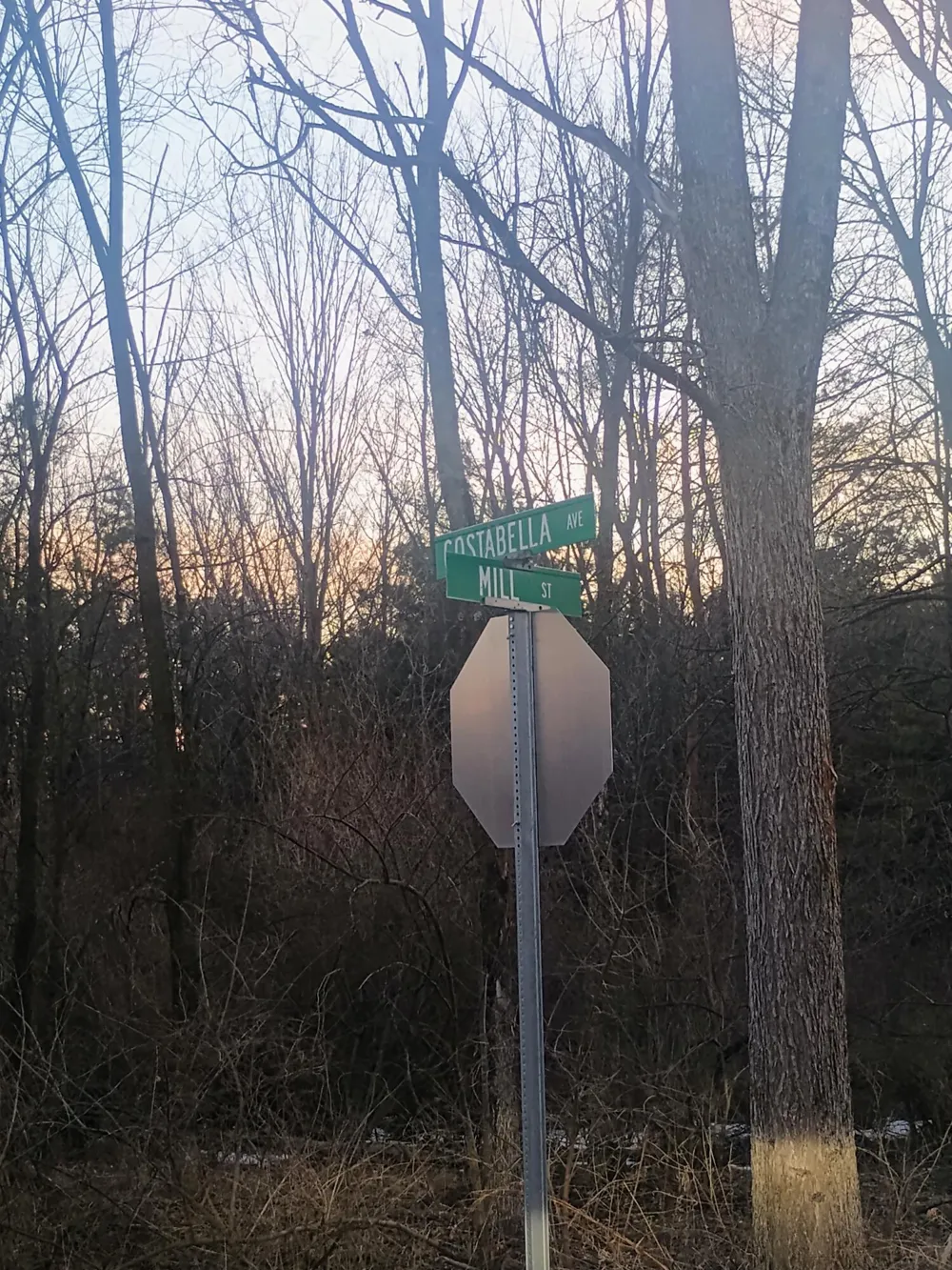 167 Mill Road Blanchard, MI 49310