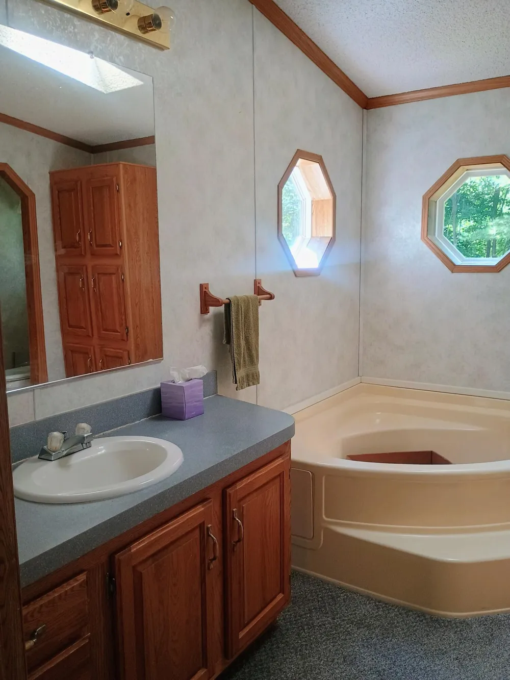 167 Mill Road Blanchard, MI 49310