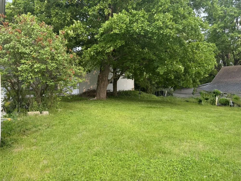 313 W 6th Street Evart, MI 49631