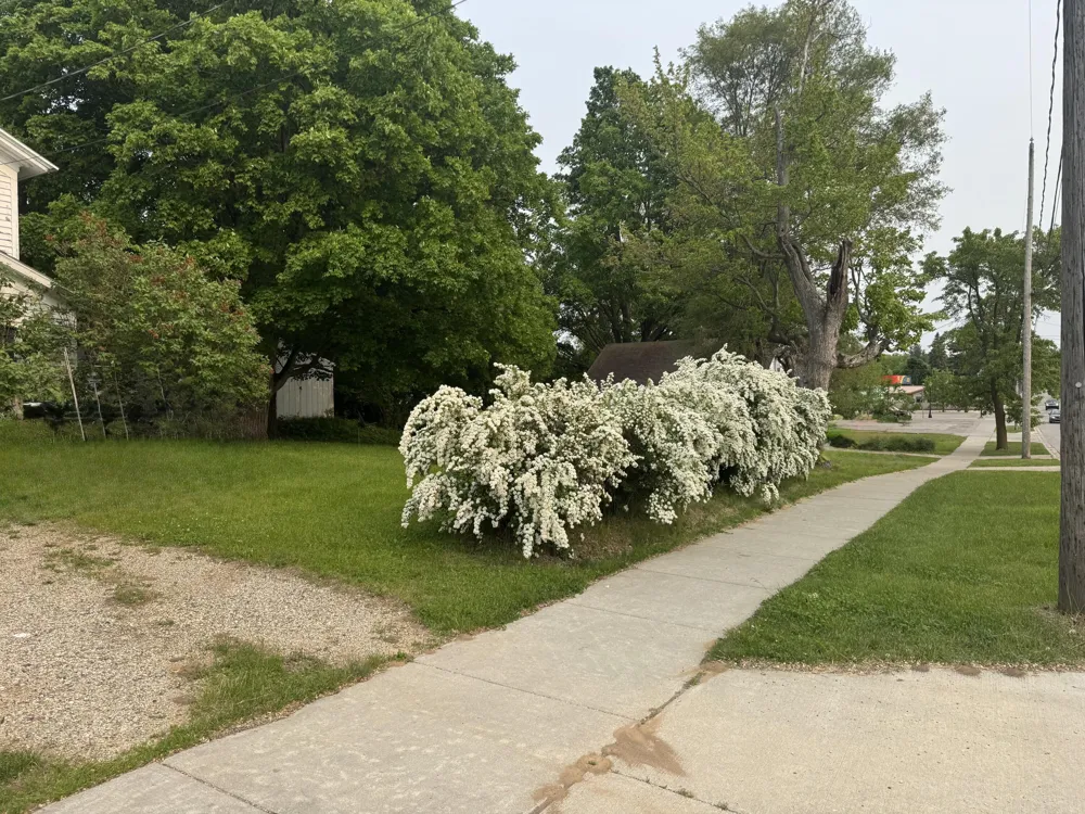 313 W 6th Street Evart, MI 49631