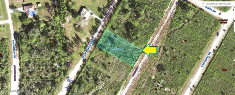 Fort Myers Road