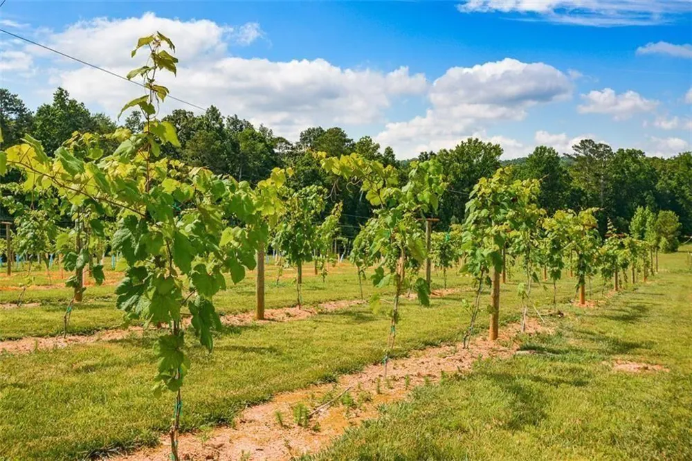 119 Inland Drive Talking Rock, GA 30175