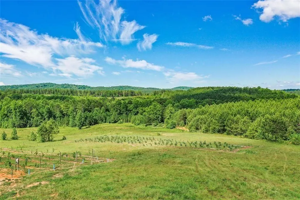 119 Inland Drive Talking Rock, GA 30175