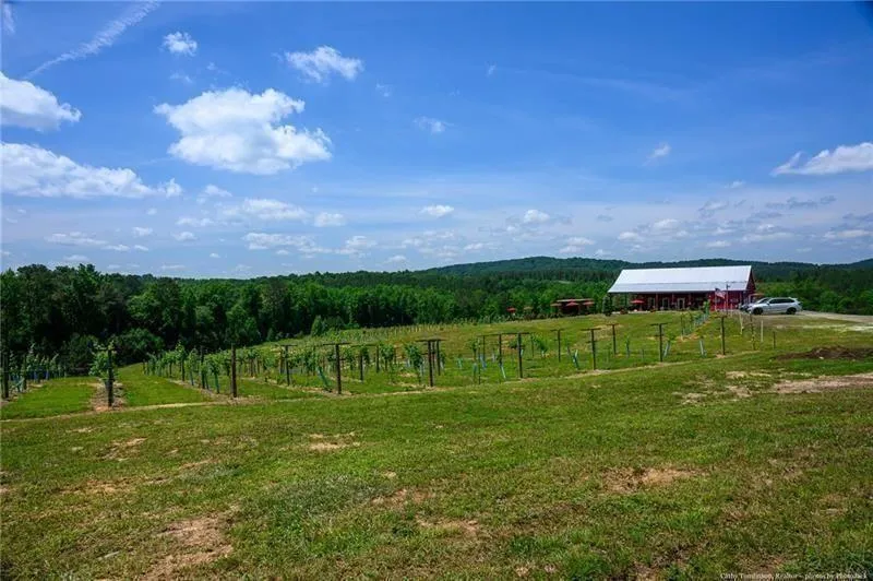 119 Inland Drive Talking Rock, GA 30175