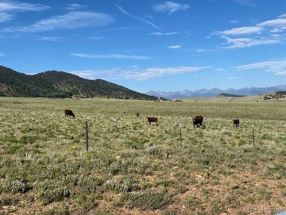 690 Eagle Gate Road Westcliffe, CO 81252