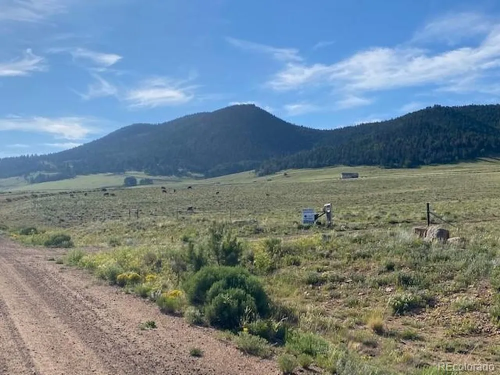 Eagles Gate Road Westcliffe, CO 81252