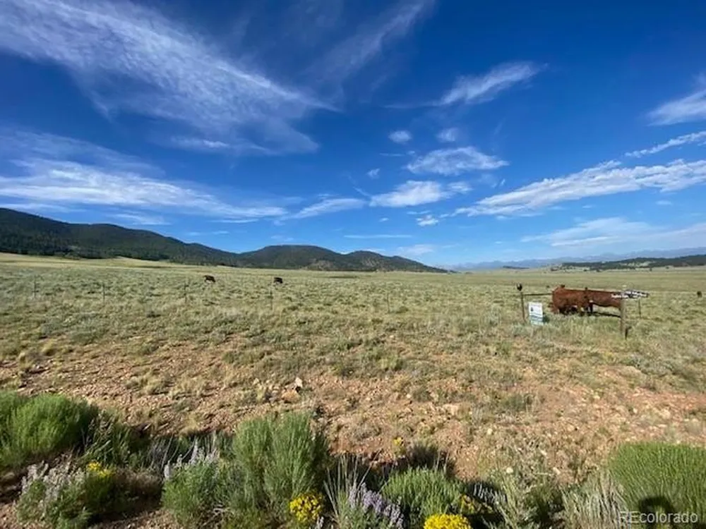 Eagles Gate Road Westcliffe, CO 81252