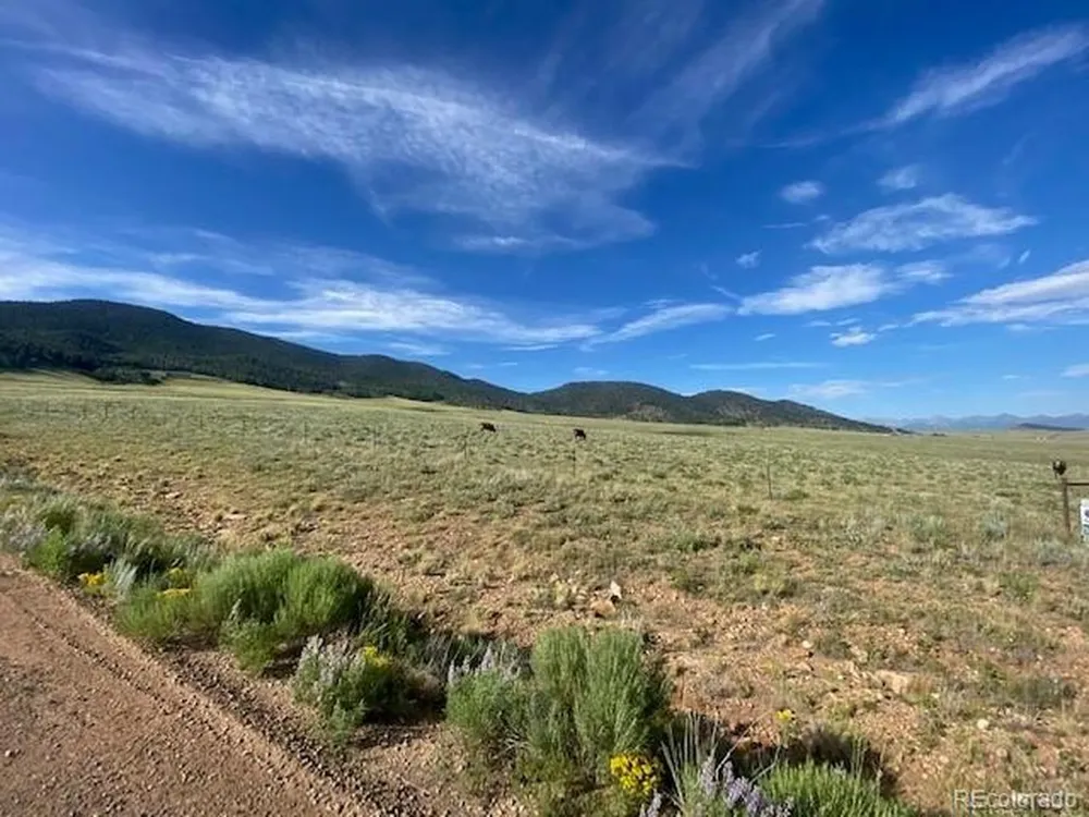 Eagles Gate Road Westcliffe, CO 81252