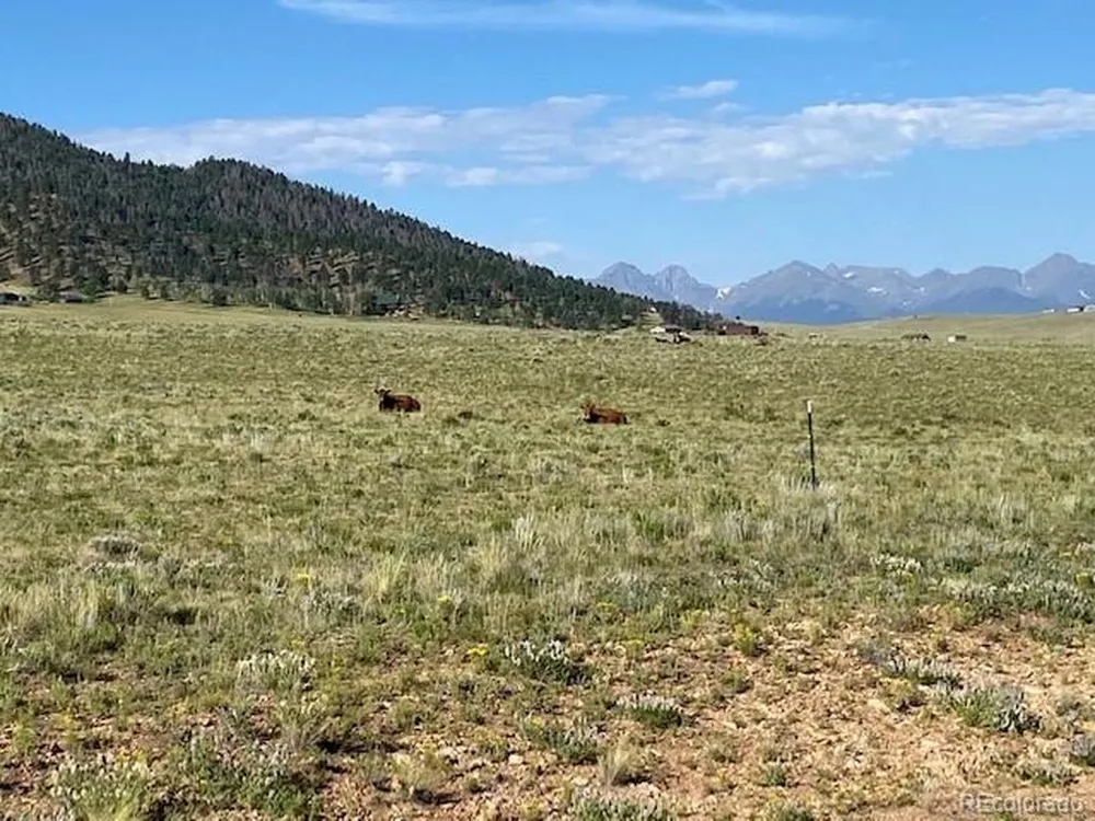 Eagles Gate Road Westcliffe, CO 81252