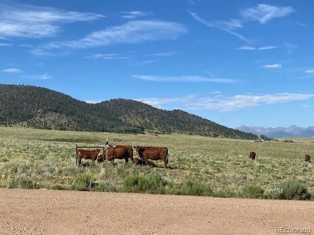 Eagles Gate Road Westcliffe, CO 81252