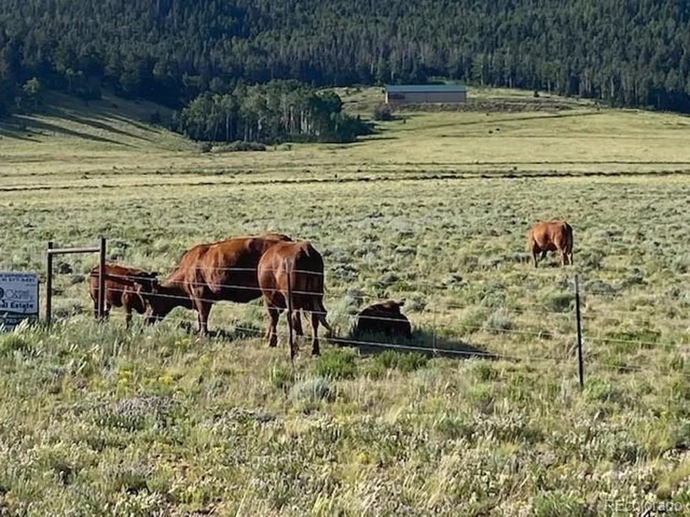 Eagles Gate Road Westcliffe, CO 81252