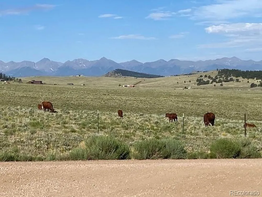 Eagles Gate Road Westcliffe, CO 81252